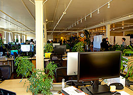 辦公室裝修設計墻面脫漆怎么辦？