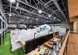 寫字樓裝修設計適合擺放哪些植物？